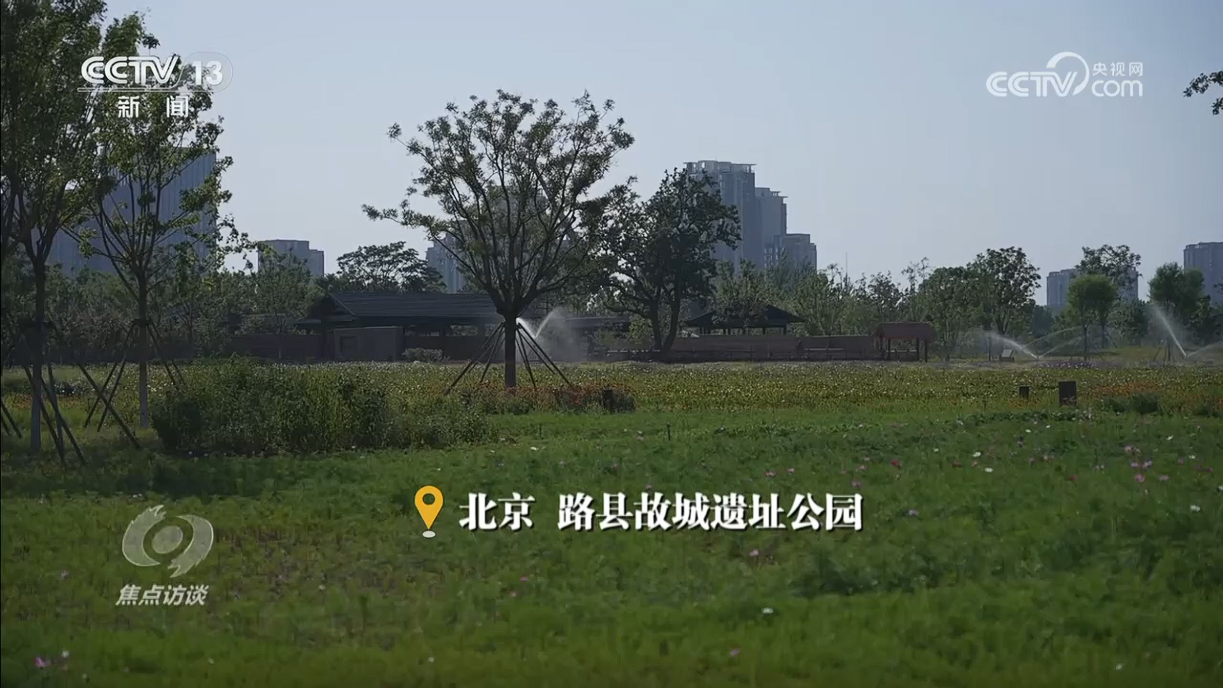 
西安市儿童医院黄牛代挂号电话票贩子号贩子网上预约挂号,住院检查加快,焦点访谈｜生态河、文化河、幸福河 悠悠运河如何奏响时代新乐章
