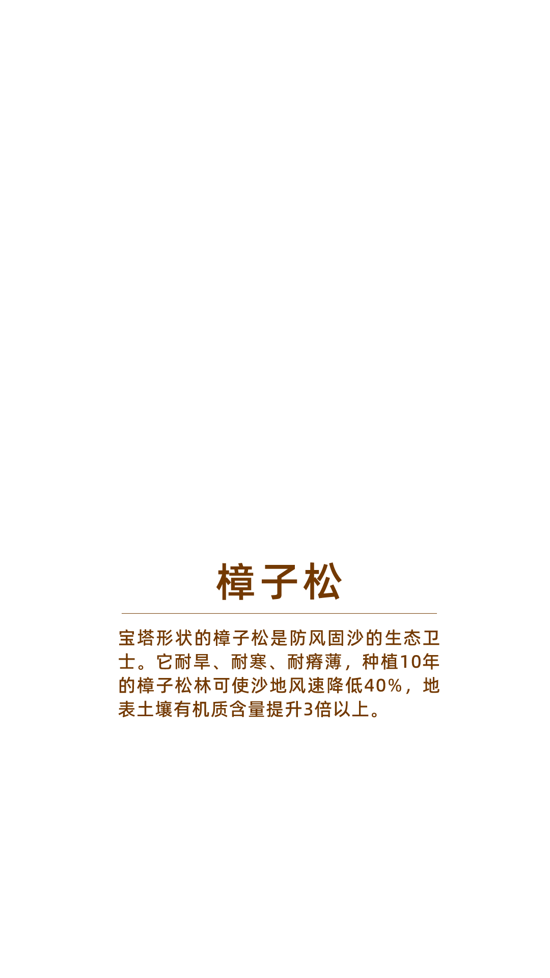 
上海肿瘤医院黄牛代挂号电话票贩子号贩子网上预约挂号,住院检查加快,中国人，如何“爆改”沙漠？