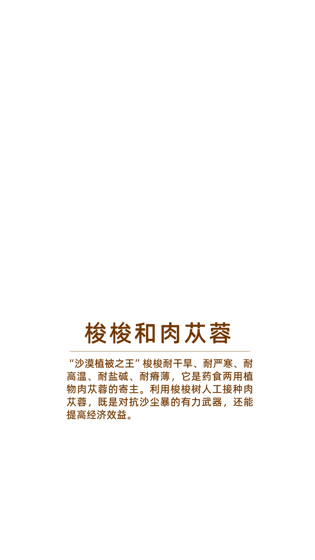 
上海肿瘤医院黄牛代挂号电话票贩子号贩子网上预约挂号,住院检查加快,中国人，如何“爆改”沙漠？