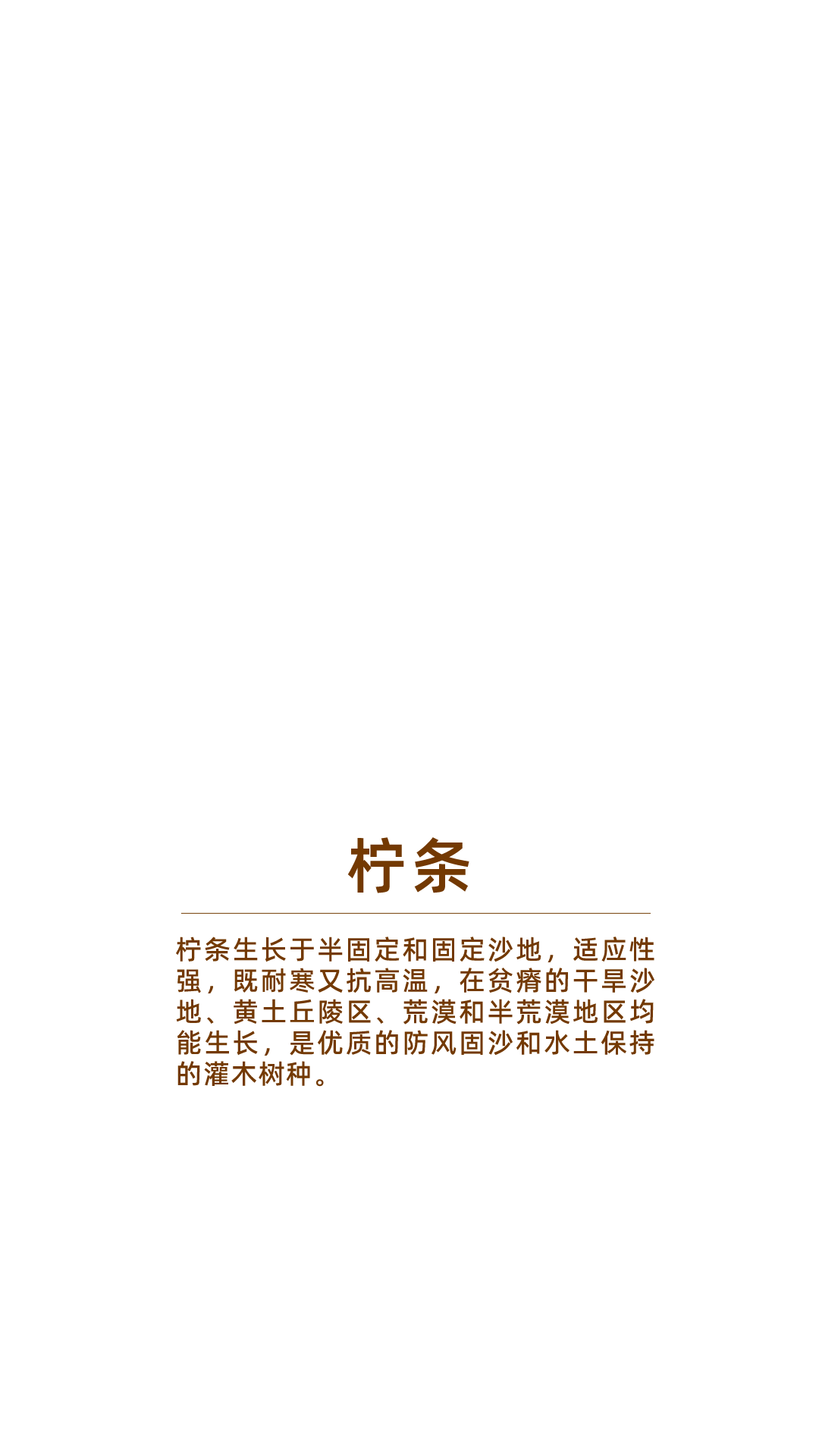 
上海肿瘤医院黄牛代挂号电话票贩子号贩子网上预约挂号,住院检查加快,中国人，如何“爆改”沙漠？