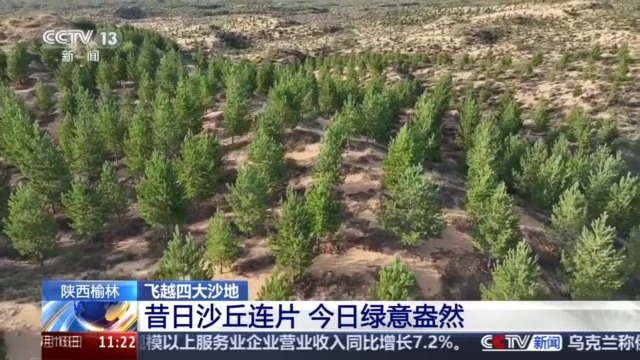 
首都医科大学附属阜外医院黄牛代挂号电话票贩子号贩子网上预约挂号,住院检查加快,今昔对比瞰变迁 卫星视角带你飞越四大沙地