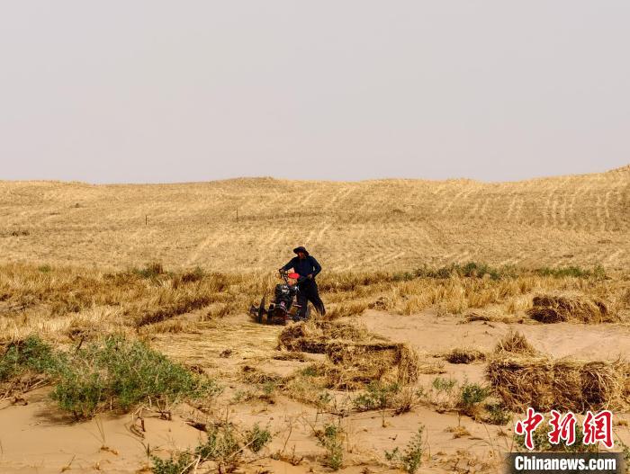
广州儿童医院黄牛代挂号电话票贩子号贩子网上预约挂号,住院检查加快,阿拉善绿色长城诞生记