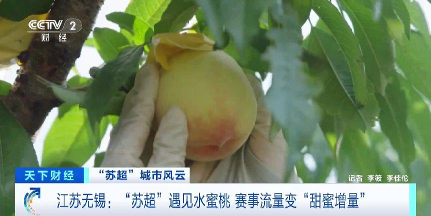 
北京302医院黄牛代挂号电话票贩子号贩子网上预约挂号,住院检查加快,“苏超”带火阳山水蜜桃 江苏无锡将赛事流量变“甜蜜增量”