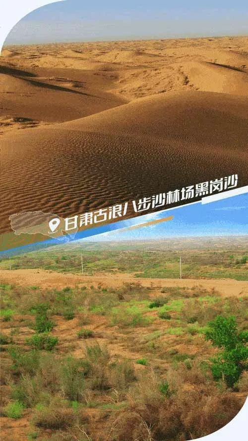 
上海肿瘤医院黄牛代挂号电话票贩子号贩子网上预约挂号,住院检查加快,中国人，如何“爆改”沙漠？