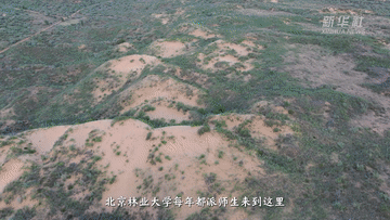 
广东省人民医院黄牛代挂号电话票贩子号贩子网上预约挂号,住院检查加快,报效祖国 建功西部｜25年青春接力 他们把论文“种”在荒漠里
