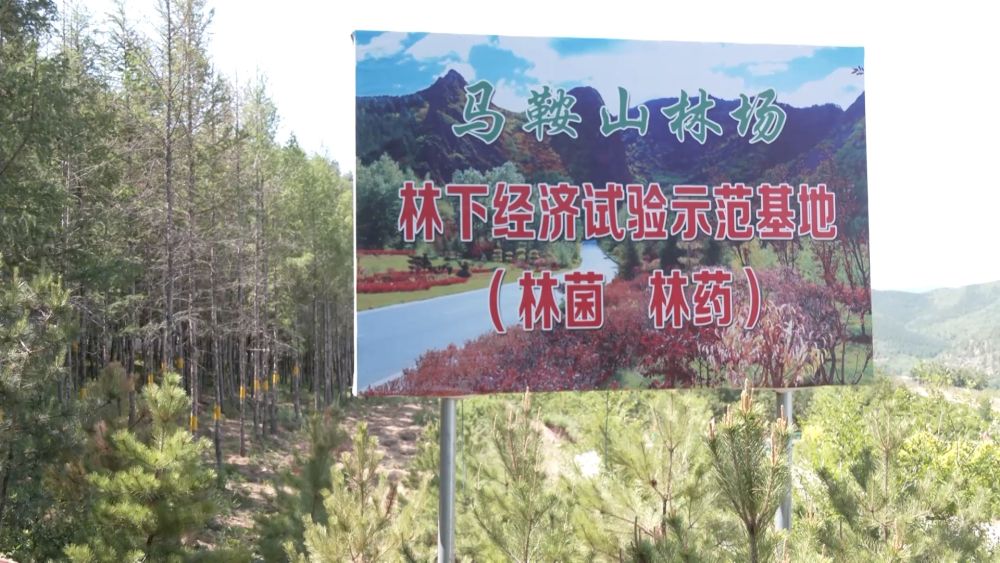 
北京妇产医院黄牛代挂号电话票贩子号贩子网上预约挂号,住院检查加快,微视频｜为了心中那一抹绿色