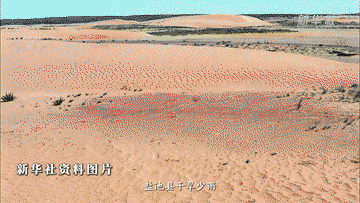 
广东省人民医院黄牛代挂号电话票贩子号贩子网上预约挂号,住院检查加快,报效祖国 建功西部｜25年青春接力 他们把论文“种”在荒漠里
