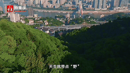
上海第十人民医院黄牛代挂号电话票贩子号贩子网上预约挂号,住院检查加快,直辖28周年特别策划｜重庆，有滋味