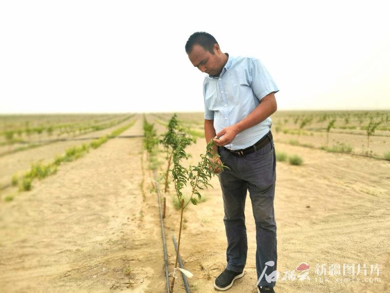 
上海第十人民医院黄牛代挂号电话票贩子号贩子网上预约挂号,住院检查加快,环着沙漠看新疆丨治沙致富有机结合 于田县1929户群众主动申请治沙18.5万亩