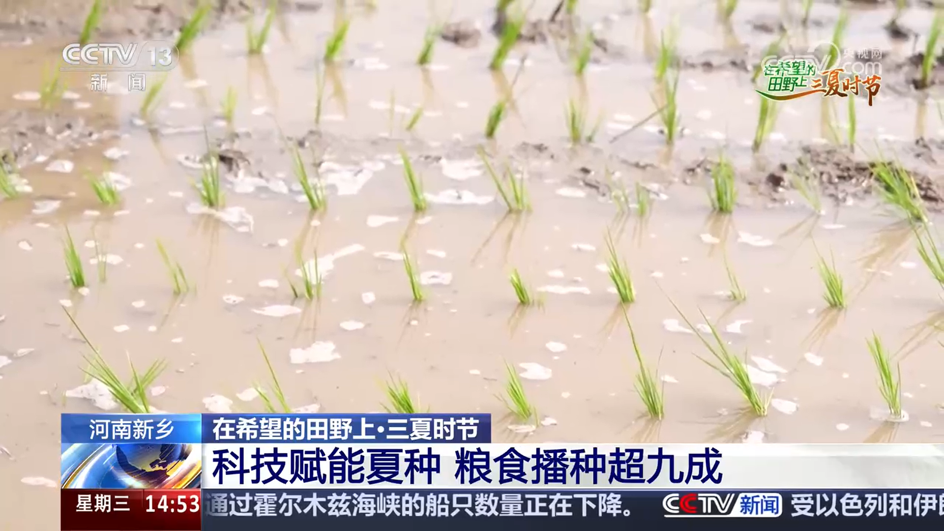 
南京眼科医院黄牛代挂号电话票贩子号贩子网上预约挂号,住院检查加快,新农机发力 “三夏”进程加快