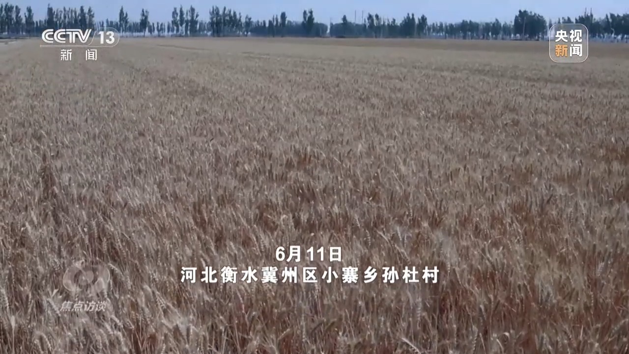 
浙江第一医院黄牛代挂号电话票贩子号贩子网上预约挂号,住院检查加快,焦点访谈丨农机装上“智慧大脑”、无人机变身照明灯 科技助力“麦”向丰收
