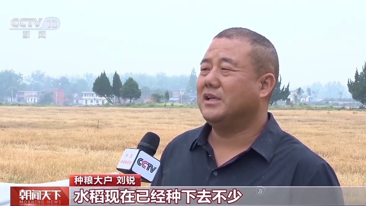 
北京八大处整形医院黄牛代挂号电话票贩子号贩子网上预约挂号,住院检查加快,气象预报加上数字化监测 小麦“颗粒归仓”有了“最强大脑”