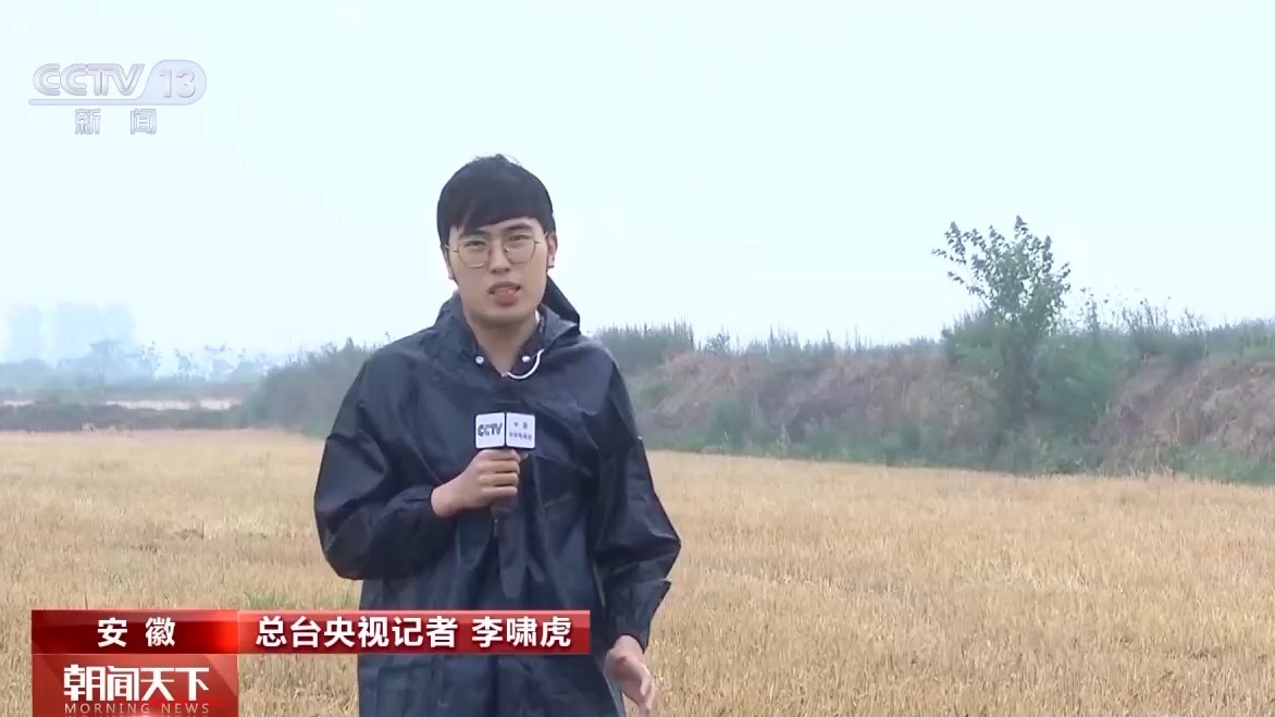 
北京八大处整形医院黄牛代挂号电话票贩子号贩子网上预约挂号,住院检查加快,气象预报加上数字化监测 小麦“颗粒归仓”有了“最强大脑”