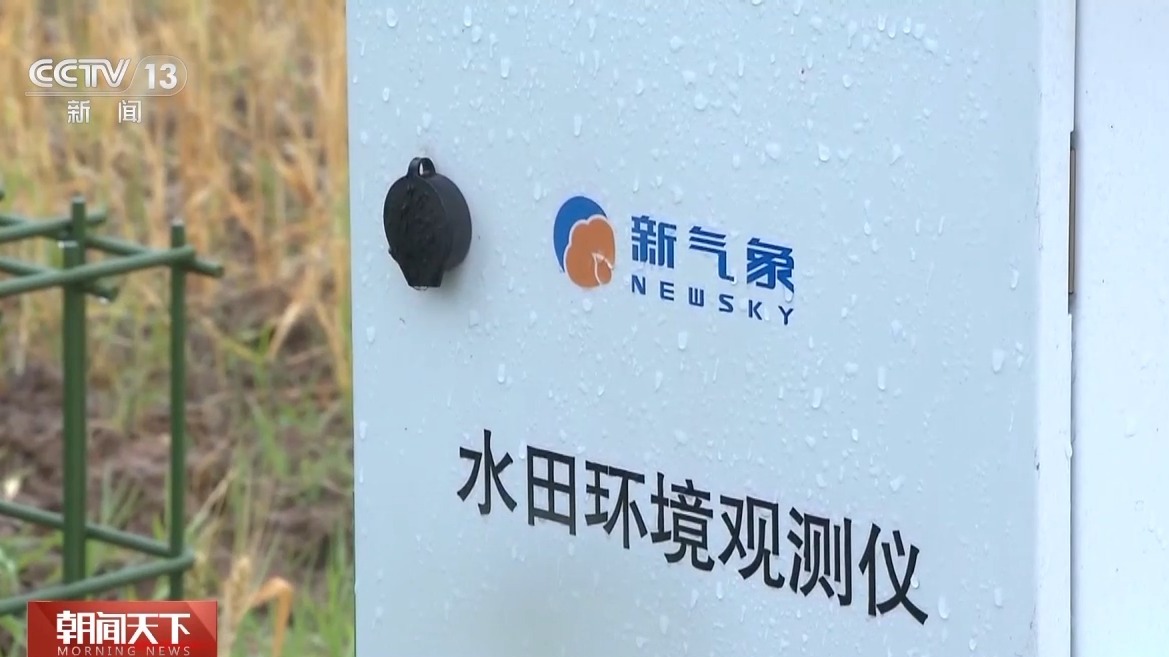 
北京八大处整形医院黄牛代挂号电话票贩子号贩子网上预约挂号,住院检查加快,气象预报加上数字化监测 小麦“颗粒归仓”有了“最强大脑”