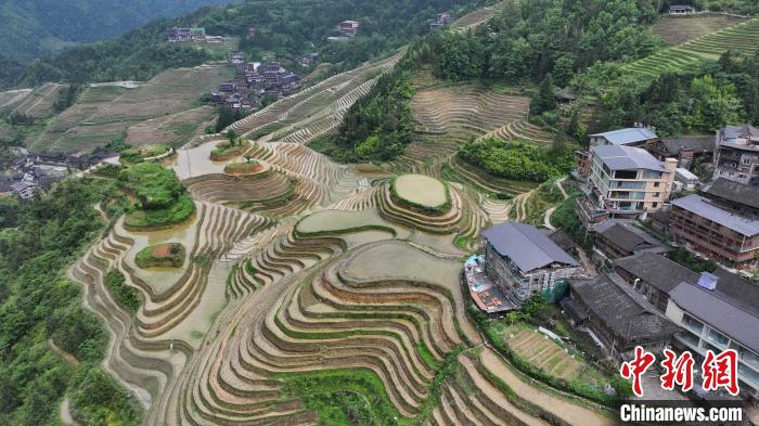 
北京八大处整形医院黄牛代挂号电话票贩子号贩子网上预约挂号,住院检查加快,（乡村行·看振兴）广西龙脊梯田：背篓变迁见证千年农耕传统魅力