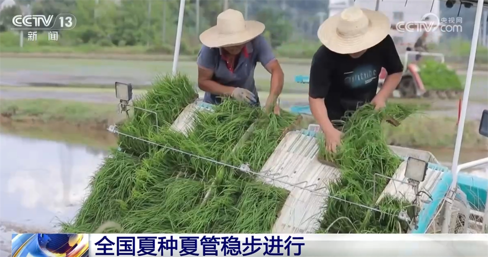 
江苏省中西医结合医院黄牛代挂号电话票贩子号贩子网上预约挂号,住院检查加快,科技助力让“三夏”插上“智慧的翅膀” 田间地头一片忙碌景象