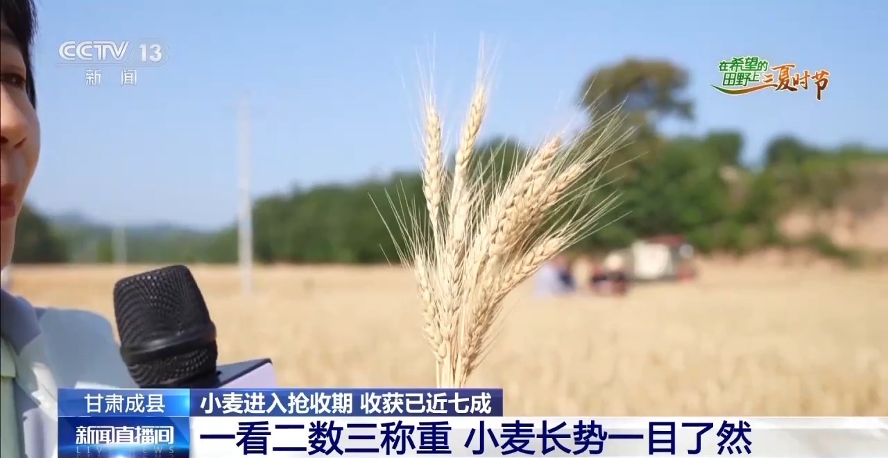 
杭州中医院黄牛代挂号电话票贩子号贩子网上预约挂号,住院检查加快,一看二数三称重四“统一” 解锁层层梯田上小麦的丰收密码