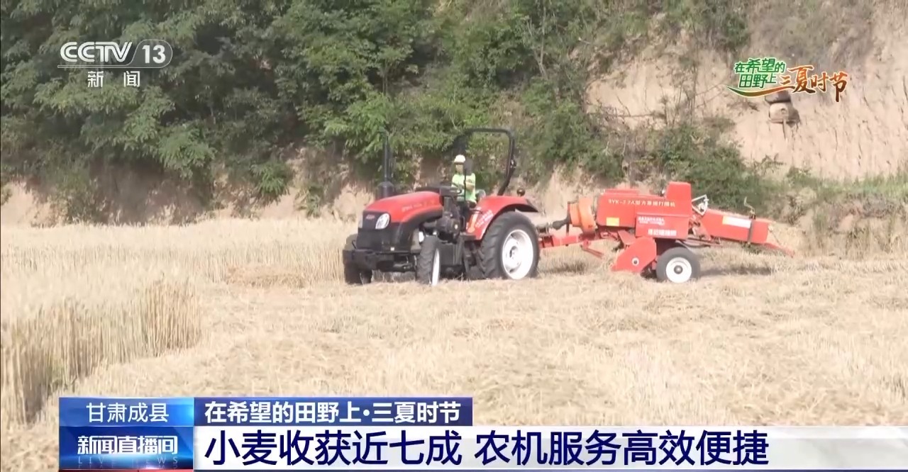 
杭州中医院黄牛代挂号电话票贩子号贩子网上预约挂号,住院检查加快,一看二数三称重四“统一” 解锁层层梯田上小麦的丰收密码