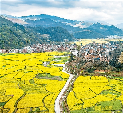 
江苏省肿瘤医院黄牛代挂号电话票贩子号贩子网上预约挂号,住院检查加快,最美农村路 振兴新图景（新时代画卷）