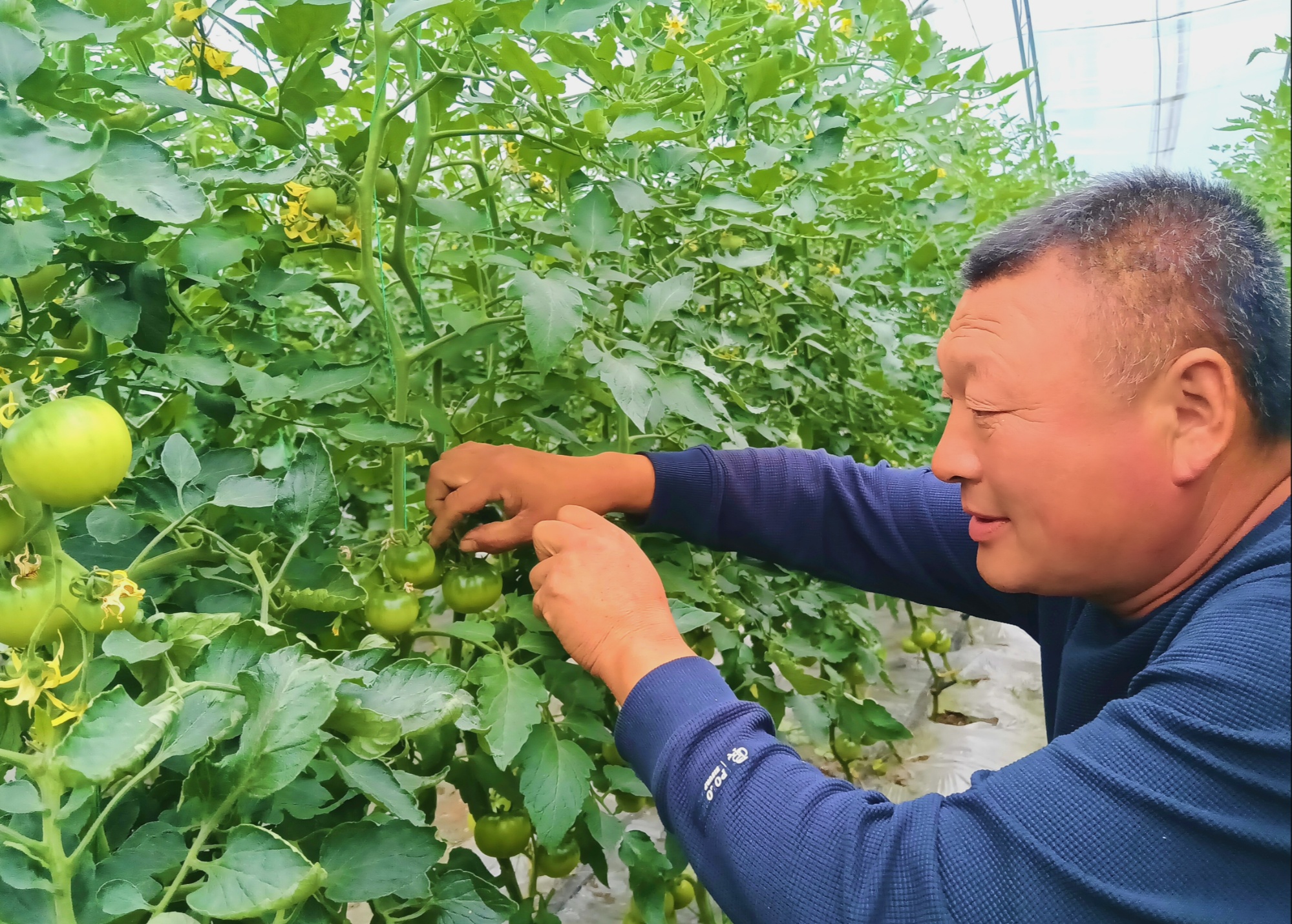 
北京301医院黄牛代挂号电话票贩子号贩子网上预约挂号,住院检查加快,高质量发展看中国|绿色通道达境外 输送三江“一口鲜”