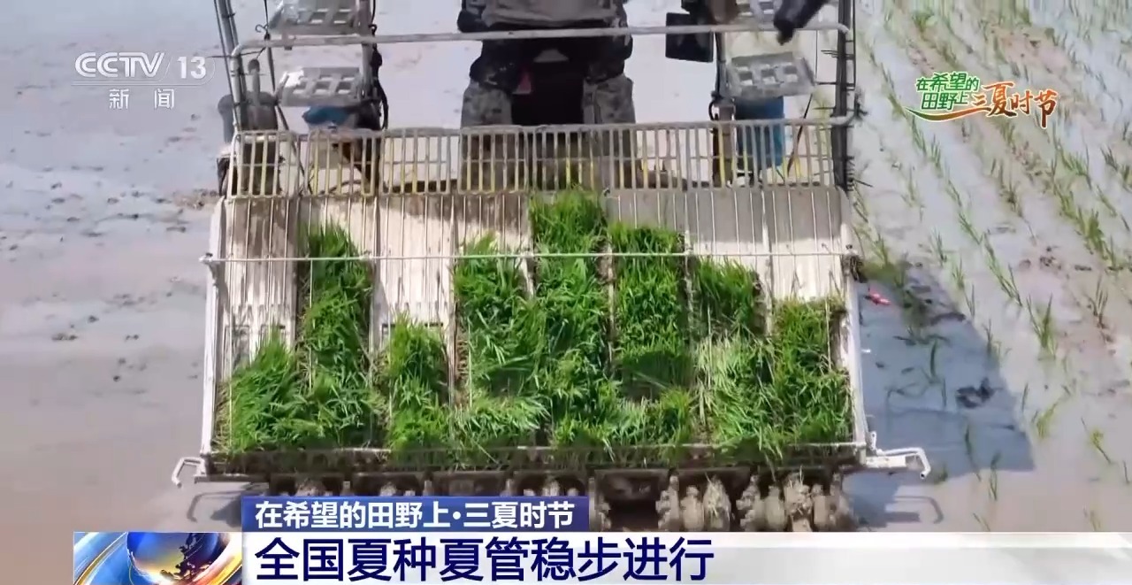 
杭州中医院黄牛代挂号电话票贩子号贩子网上预约挂号,住院检查加快,一看二数三称重四“统一” 解锁层层梯田上小麦的丰收密码