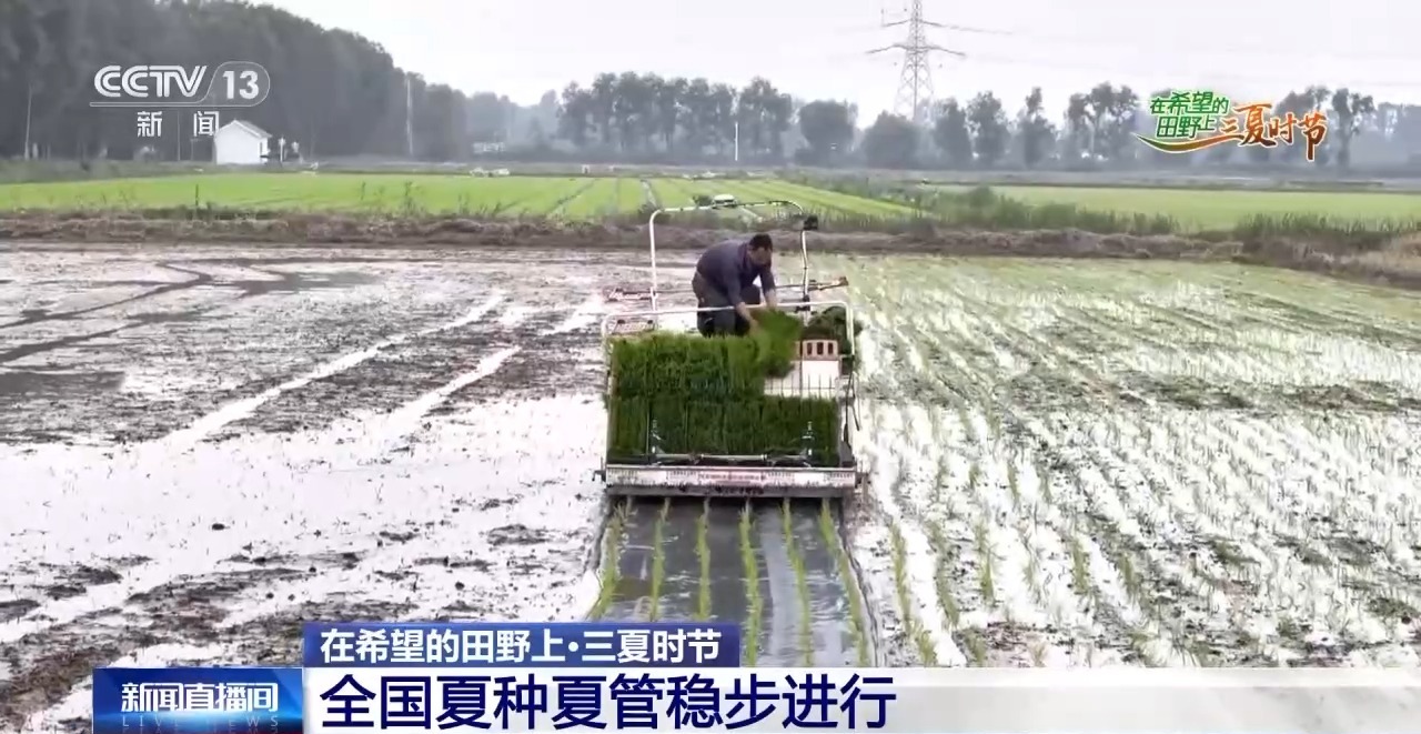 
杭州中医院黄牛代挂号电话票贩子号贩子网上预约挂号,住院检查加快,一看二数三称重四“统一” 解锁层层梯田上小麦的丰收密码