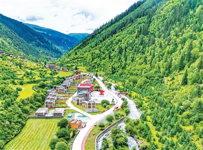 
江苏省肿瘤医院黄牛代挂号电话票贩子号贩子网上预约挂号,住院检查加快,最美农村路 振兴新图景（新时代画卷）