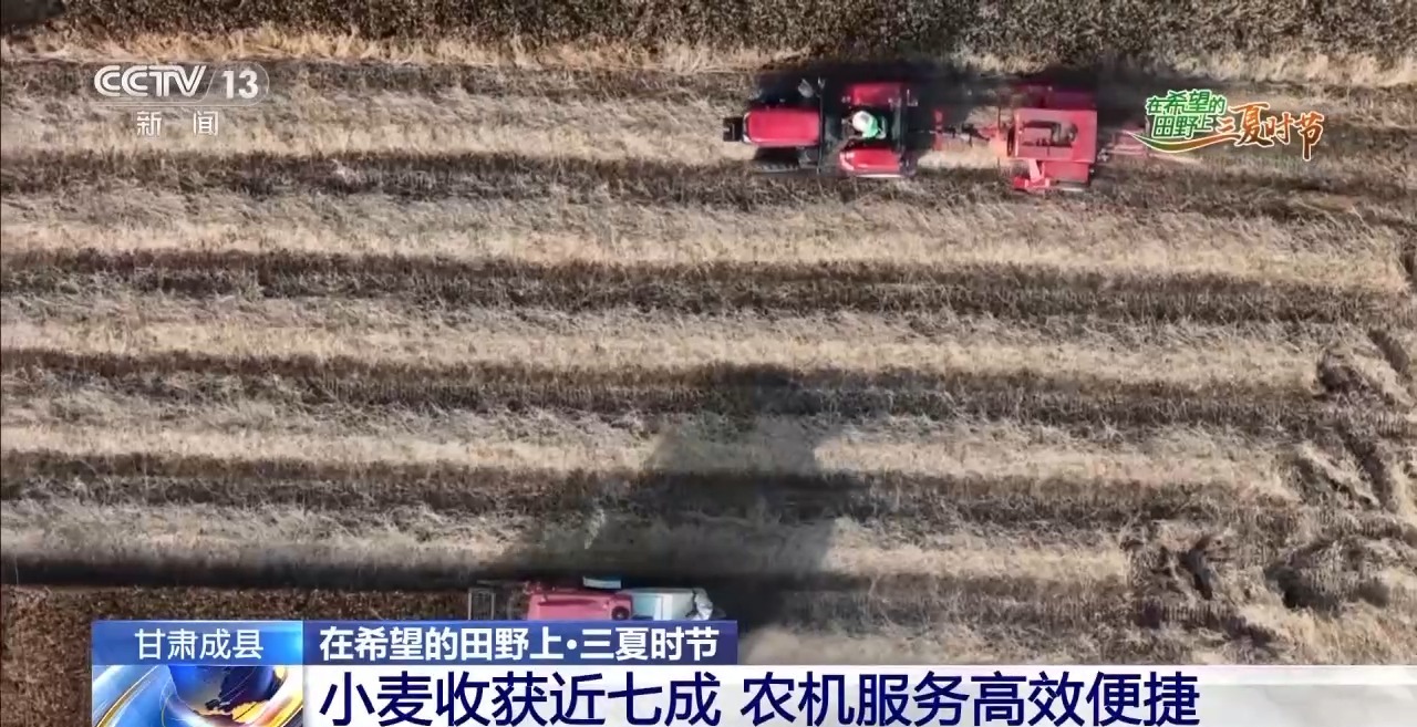 
杭州中医院黄牛代挂号电话票贩子号贩子网上预约挂号,住院检查加快,一看二数三称重四“统一” 解锁层层梯田上小麦的丰收密码