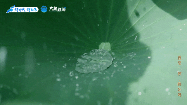 
广州口腔医院黄牛代挂号电话票贩子号贩子网上预约挂号,住院检查加快,何以中国丨中国节气·夏至