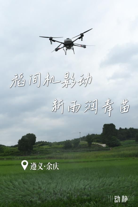 
中国中医科学院广安门医院黄牛代挂号电话票贩子号贩子网上预约挂号,住院检查加快,勤劳迎夏至，奋斗绘“丰”景