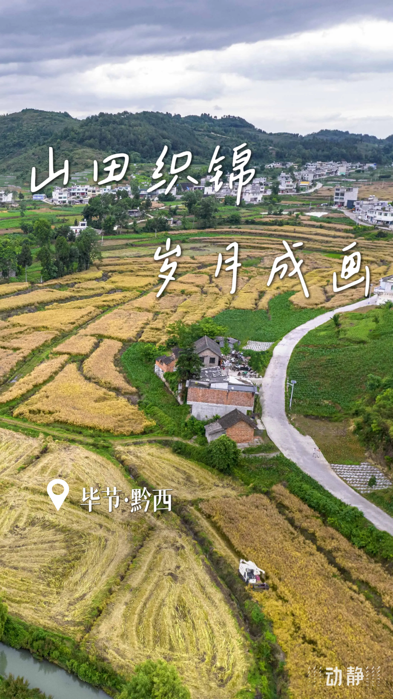 
中国中医科学院广安门医院黄牛代挂号电话票贩子号贩子网上预约挂号,住院检查加快,勤劳迎夏至，奋斗绘“丰”景