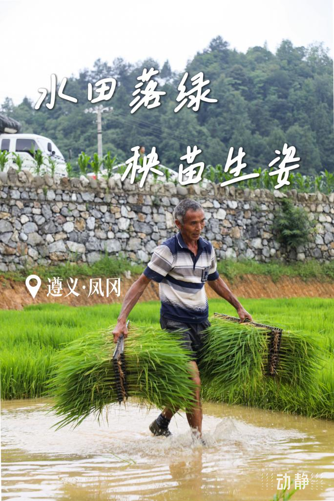 
中国中医科学院广安门医院黄牛代挂号电话票贩子号贩子网上预约挂号,住院检查加快,勤劳迎夏至，奋斗绘“丰”景