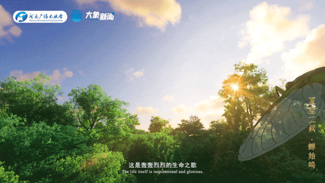 
广州口腔医院黄牛代挂号电话票贩子号贩子网上预约挂号,住院检查加快,何以中国丨中国节气·夏至