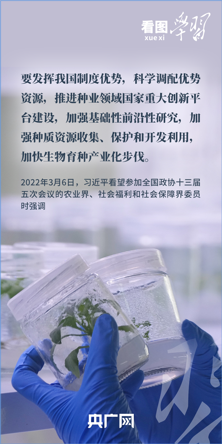
南京金陵医院黄牛代挂号电话票贩子号贩子网上预约挂号,住院检查加快,看图学习丨“三夏”时节丰收忙 总书记强调粮食生产年年要抓紧