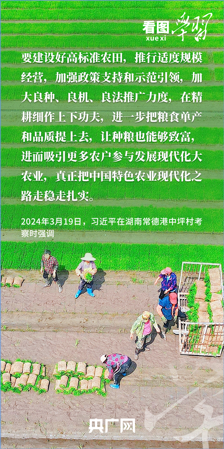 
南京金陵医院黄牛代挂号电话票贩子号贩子网上预约挂号,住院检查加快,看图学习丨“三夏”时节丰收忙 总书记强调粮食生产年年要抓紧