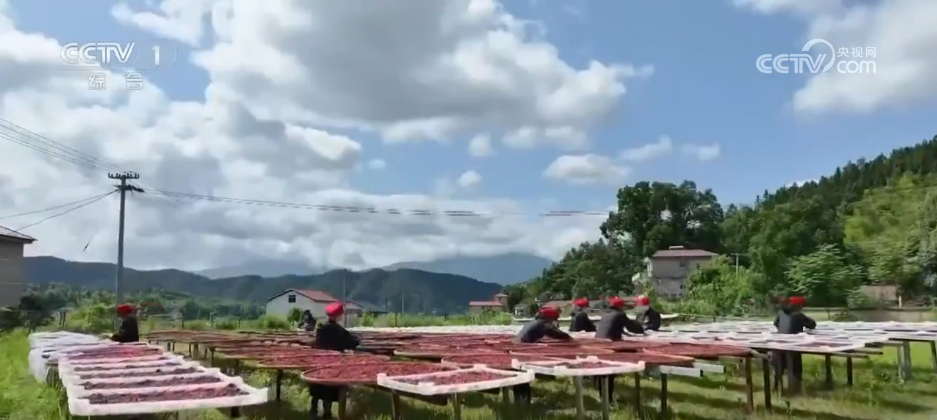 
长春吉大二院黄牛代挂号电话票贩子号贩子网上预约挂号,住院检查加快,万物至盛 欣欣向荣 希望的田野上奏响丰收“欢歌”