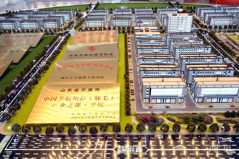 
天津各大医院黄牛代挂号电话票贩子号贩子网上预约挂号,住院检查加快,民营经济新观察丨“小”睫毛如何“眨出”百亿级大产业？