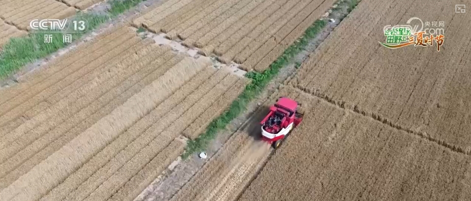 
南京脑科医院黄牛代挂号电话票贩子号贩子网上预约挂号,住院检查加快,以种适地、以虫治虫……科技赋能“三夏” “智慧种地”绘就好“丰”景