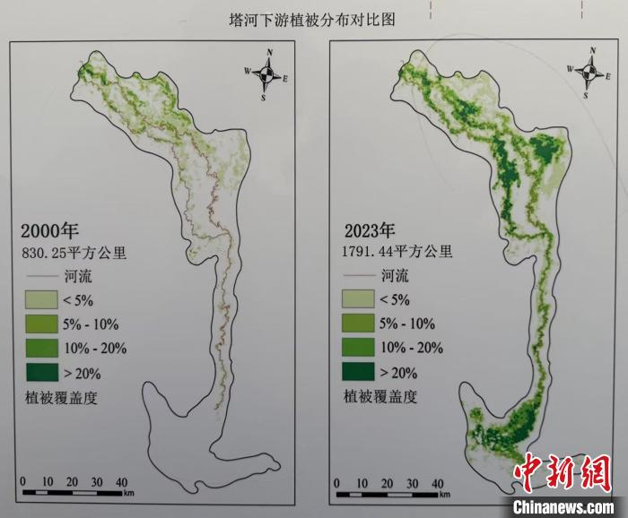 
浙江省同德医院黄牛代挂号电话票贩子号贩子网上预约挂号,住院检查加快,新疆若羌巧治流沙 台特玛湖焕然新生