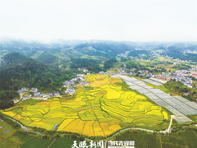 
南京鼓楼医院黄牛代挂号电话票贩子号贩子网上预约挂号,住院检查加快,村里喜事多，幸福的歌声响遍高原和大山