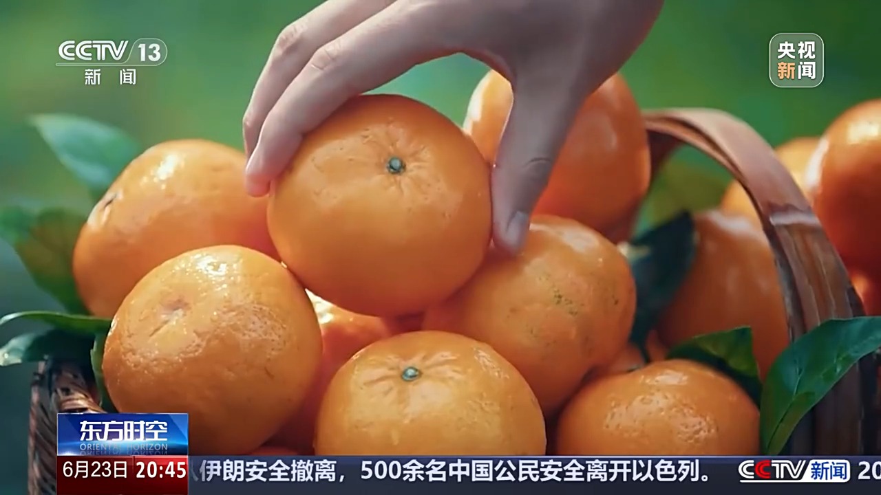 
北京朝阳医院黄牛代挂号电话票贩子号贩子网上预约挂号,住院检查加快,跑出加速度、新活力！揭秘中国独角兽企业的成长破圈秘诀