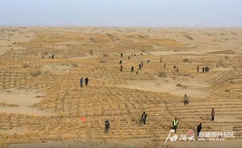 
北京301医院黄牛代挂号电话票贩子号贩子网上预约挂号,住院检查加快,天山观察丨再战沙海