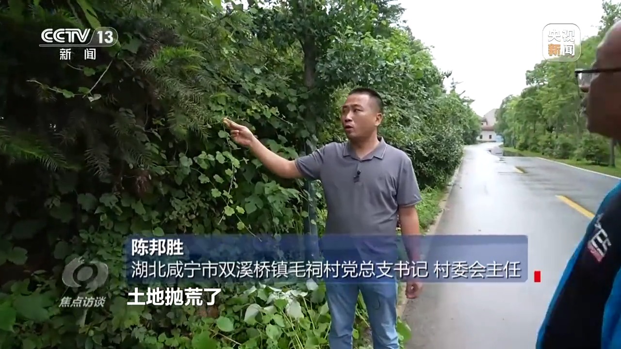 
上海各大医院黄牛代挂号电话票贩子号贩子网上预约挂号,住院检查加快,焦点访谈丨如何端稳中国饭碗 构建田美、粮安、村兴的和美景象？