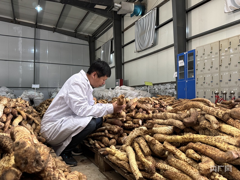 
杭州各大医院黄牛代挂号电话票贩子号贩子网上预约挂号,住院检查加快,高质量发展看中国丨解码黄沙变金山的生存智慧