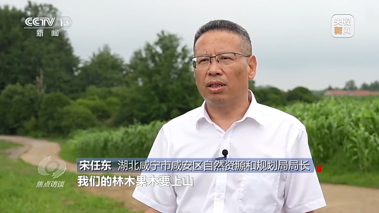 
上海各大医院黄牛代挂号电话票贩子号贩子网上预约挂号,住院检查加快,焦点访谈丨如何端稳中国饭碗 构建田美、粮安、村兴的和美景象？