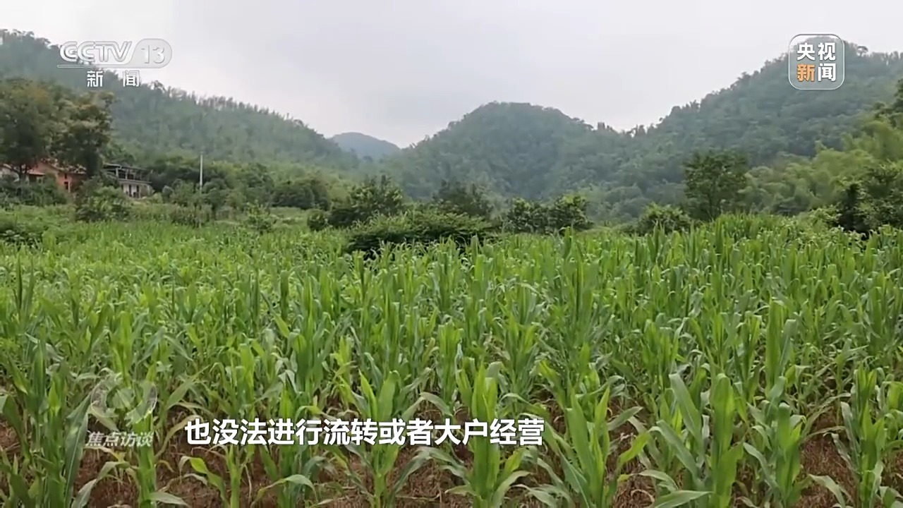 
上海各大医院黄牛代挂号电话票贩子号贩子网上预约挂号,住院检查加快,焦点访谈丨如何端稳中国饭碗 构建田美、粮安、村兴的和美景象？