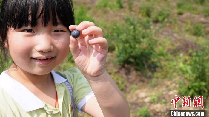 
北京儿研所黄牛代挂号电话票贩子号贩子网上预约挂号,住院检查加快,（乡村行·看振兴）浙江乡村：时令果蔬迎丰收 “甜蜜经济”促振兴