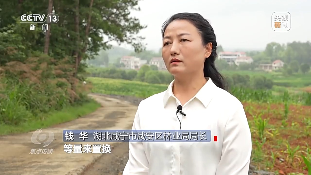 
上海各大医院黄牛代挂号电话票贩子号贩子网上预约挂号,住院检查加快,焦点访谈丨如何端稳中国饭碗 构建田美、粮安、村兴的和美景象？