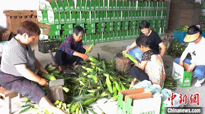 
北京儿研所黄牛代挂号电话票贩子号贩子网上预约挂号,住院检查加快,（乡村行·看振兴）浙江乡村：时令果蔬迎丰收 “甜蜜经济”促振兴