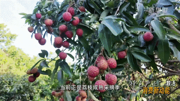 
上海第九人民医院黄牛代挂号电话票贩子号贩子网上预约挂号,住院检查加快,“热”力全开 消费新场景激发夏日文旅新活力